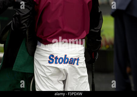 Stobart sponsorship on a jockey`s breeches, Towcester Races, UK Stock Photo